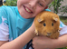 Three Guinea Pigs plus set up (3 brothers 3 years old)