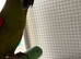 2 years old hans macaw