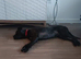 Cane corso cross