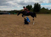 Lovely children / mother daughter all rounder pony