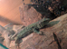 Breeding pair European eyed lizards
