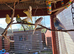 Budgies for sale