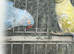 Blue and purple breeding pair