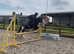 Lovely Family Pony