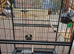 Xlarge bird cage