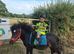 Lead rein shetland gelding