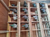 Raceing pigeons