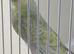 Baby budgie ring number 31 2026 rung