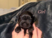Stunning Shih Tzu puppies looking for for forever homes