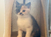 British shorthair kittens