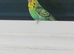 Breeding hen