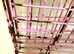 Pink dog crate.