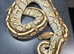 Lesser Fire Het Clown