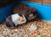 Mum and daughter and baby male