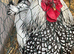 Breeding pair of silver laced wyandotte
