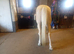 Meet Apollo the Palomino