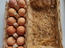Chicken Eggs for hatching