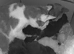 Adorable Kittens Looking for Loving Homes