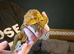 Make leachie