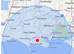 Mobile Microchipping dorset/Somerset 50 miles radius Dogs, cats, rabbits, ferries, small animals.