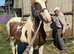 Outstanding yearling gelding