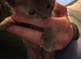 2 x Female kittens *Ready Now*