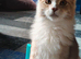 Beautiful boy