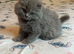 Two beautiful boys