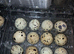 Quails eggs (Fertile) for hatching available