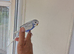Super silly hand tamed budgies