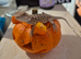 100% Het Zero / 100% Het Translucent, Visual Hypo Bearded Dragons