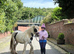 13hh cob