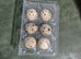White jumbo and jumbo brown quails eggs