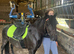 Pony for sale