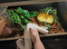 Ball python Pastel Ivory