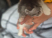 Beautiful 8-Week-Old Kittens Looking for Their Forever Homes
