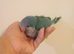 Blue baby Quaker hand reared