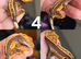 Baby crested geckos for sale