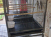 Bird cage, double breeder and stand