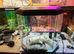 FISH TANK WITH LIGHT AND ACCESSORIES
