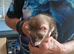 Baby ferrets READY TO GO
