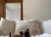 Two beautiful long coat chihuahuas available