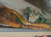 Freindy Corn snake