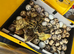Cortunix Quail hatching eggs