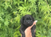 4 gorgeous males looking for a forever home