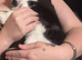 male black and white kitten