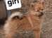 1girl and 2 boys