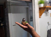 green cheeked parakeet