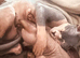 Boy Canadian Sphynx