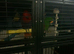Incredibly spacious parrot cage with optional central divider